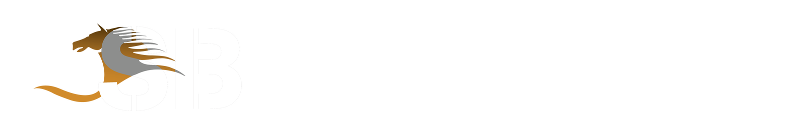 Belhasa Used Cars