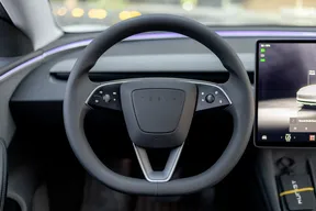 Tesla Model 3 Standard 2024