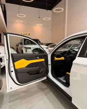Dongfeng (DFM) Shine 2026