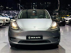 Tesla Model Y Performance 2024