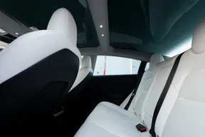 Tesla Model 3 Performance 2023