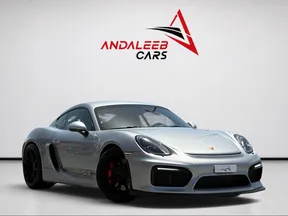 Porsche Cayman 718 GT4 2016