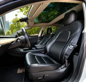 Tesla Model 3 Standard Plus 2021