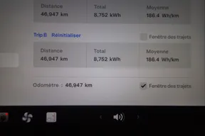 Tesla Model Y Performance 2022