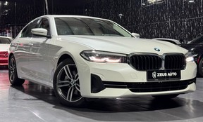 BMW 5 Series 520 2022