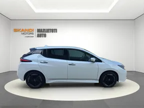 Nissan Leaf 2021
