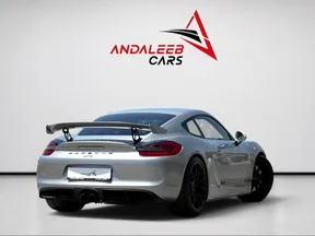 Porsche Cayman 718 GT4 2016