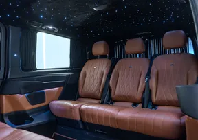 Mercedes-Benz V-Class 250 2021