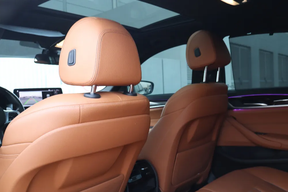 BMW 5 Series 520 2021