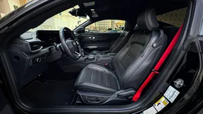 Ford Mustang Shelby Super Snake 2024